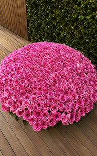 Rose Basket - 501 Roses