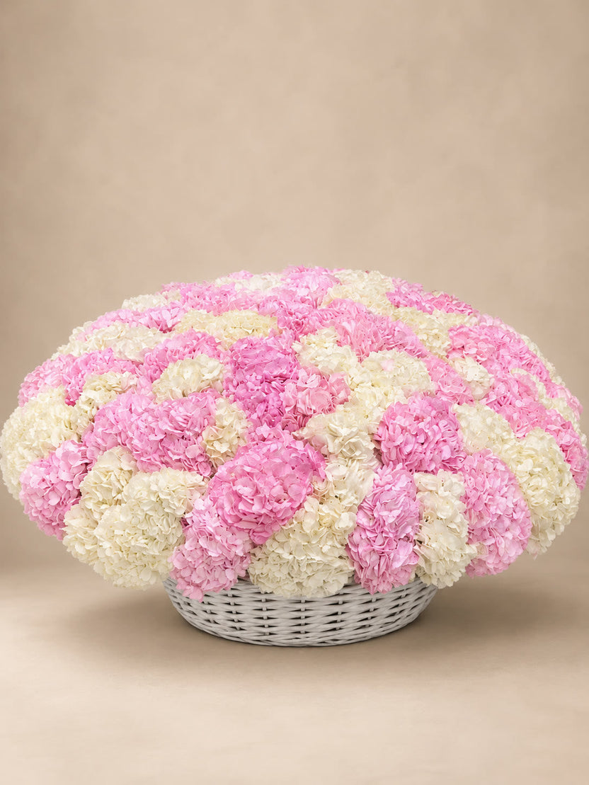 Hydrangea basket with 101 pink and white stems, luxury flower delivery — LaFia Flowers Los Angeles