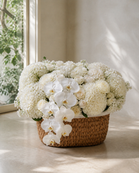 Ivory Orchid Garden Basket