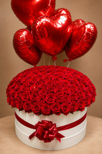 Red Rose Box - 151 Roses