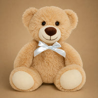 Plush Teddy Bear